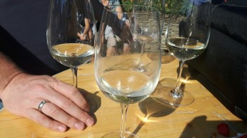 20170930_134509_resized_1