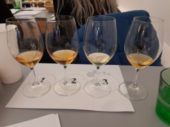 20191115_113700_resized